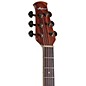 Applause AE48-1I Traditional Series Super Shallow Acoustic-Electric Guitar Honey Burst