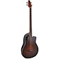 Applause AEB4-7S Traditional Series Mid-Depth Acoustic-Electric Bass Guitar Honey Burst