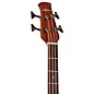 Applause AEB4-7S Traditional Series Mid-Depth Acoustic-Electric Bass Guitar Honey Burst