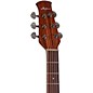 Applause AE44 Traditional Series Mid-Depth Acoustic-Electric Guitar Varnish