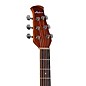 Applause AB24 Traditional Series Mid-Depth Acoustic-Electric Guitar Black