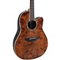 Ovation CS24P Celebrity Series Traditional Plus Mid-Depth Acoustic-Electric Guitar Nutmeg Burled Maple thumbnail