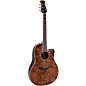 Ovation CS24P Celebrity Series Traditional Plus Mid-Depth Acoustic-Electric Guitar Nutmeg Burled Maple