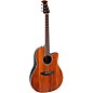 Ovation CS24P Celebrity Series Traditional Plus Mid-Depth Acoustic-Electric Guitar Figured Koa