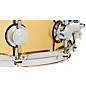 DW Collector's Series Polished Brass Snare Drum 14 x 4 in.