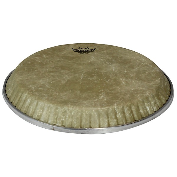 Remo 12.5In Fiberskyn D1 Conga Head 12.5 in.