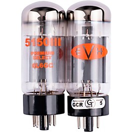 EVH 6L6 Power Tubes Duet