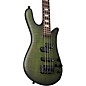 Spector Euro 4 LX Neck-Through Electric Bass Haunted Moss Matte