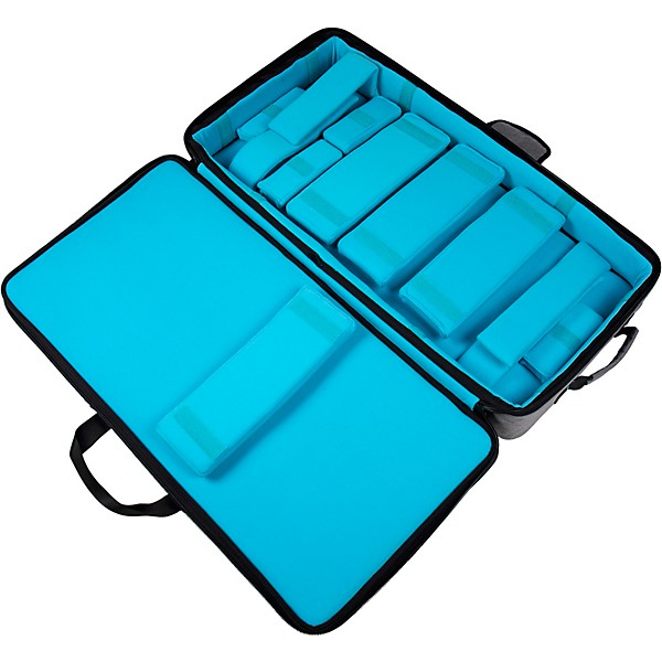 RANE PERFORMER with Gator G-CLUB Bag