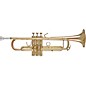 Bach 170 Stradivarius 43 Bell Series Professional Bb Trumpet with Standard Leapipe Lacquer