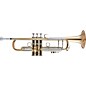 Bach 190 Stradivarius 65 Bell Dual Bore Series Unlacquered Professional Bb Trumpet Unlacquered thumbnail