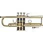 Bach 190 Stradivarius 37 Bell Medium Plus Bore Series Unlacquered Professional Bb Trumpet Unlacquered