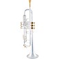 Bach 180S Stradivarius 37 Bell Custom Series Professional Bb Trumpet Silver plated