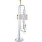 Bach 180S Stradivarius 37 Bell Custom Series Professional Bb Trumpet Silver plated