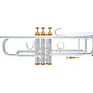 Bach 180S Stradivarius 37 Bell Custom Series Professional Bb Trumpet Silver plated