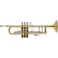 Bach 180 Stradivarius 37 Bell Series Professional Bb Trumpet Lacquer thumbnail