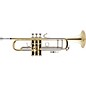 Bach 180 Stradivarius 43 Bell Series Professional Bb Trumpet Lacquer