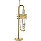 Bach 180 Stradivarius 43 Bell Series Professional Bb Trumpet Lacquer