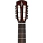 Alvarez AC65 Nylon-String Classical Acoustic Guitar