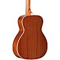 Alvarez RS26N Nylon-String Classical Acoustic Guitar Natural