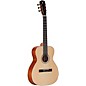 Alvarez RS26N Nylon-String Classical Acoustic Guitar Natural