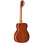 Alvarez RS26N Nylon-String Classical Acoustic Guitar Natural