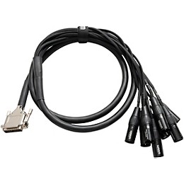 Warm Audio Premier DB25-XLRm Snake Cable 10 ft. Black