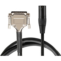 Warm Audio Premier DB25-XLRm Snake Cable 10 ft. Black