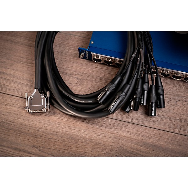 Warm Audio Premier DB25-XLRm Snake Cable 10 ft. Black