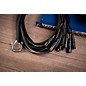 Warm Audio Premier DB25-XLRm Snake Cable 10 ft. Black