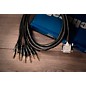 Warm Audio Premier DB25-TRSm Snake Cable 10 ft. Black