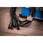 Warm Audio Premier DB25-XLRf Snake Cable 10 ft. Black
