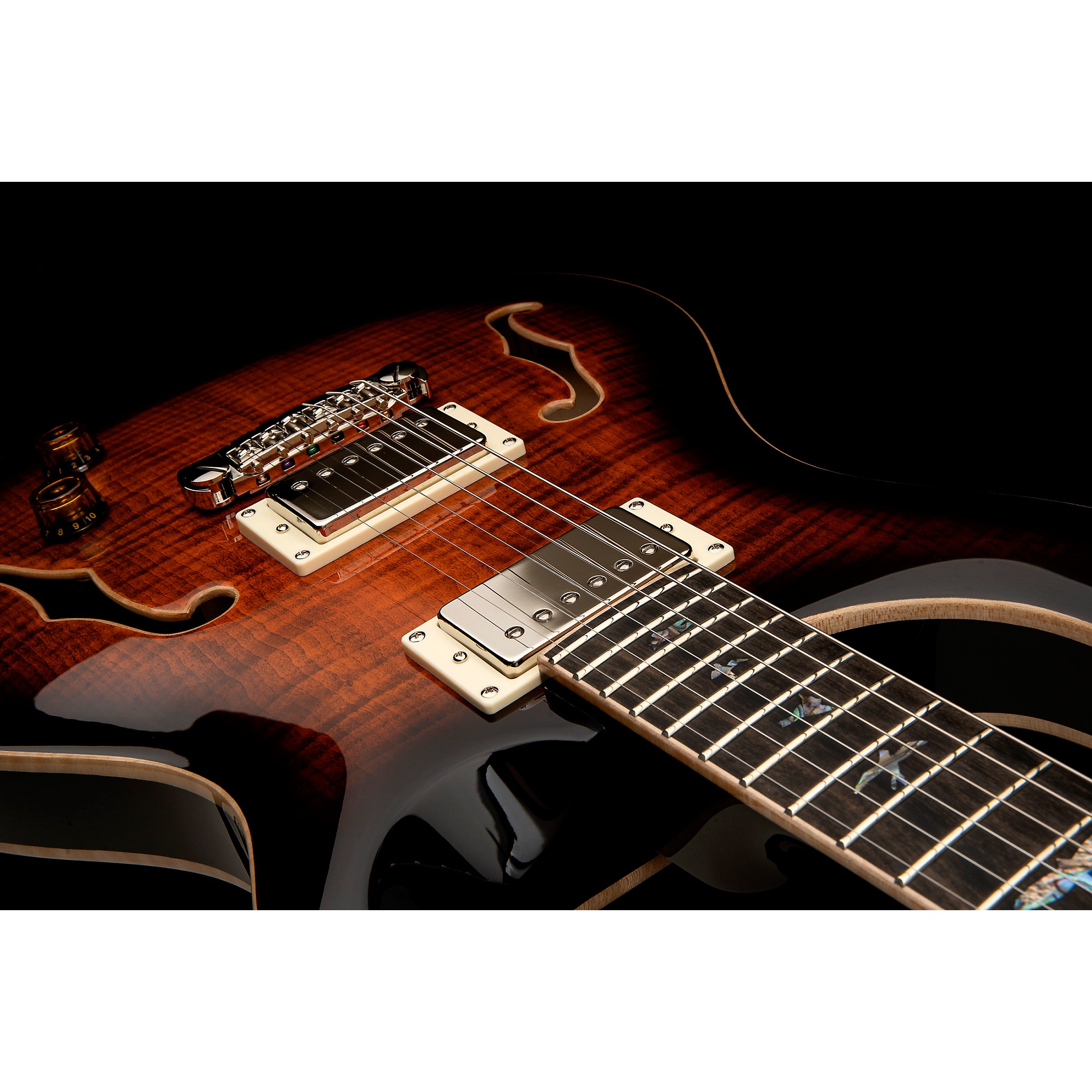 なぐあ　PRS SE Hollowbody 2 Piezo PRS SE Standard Piezo Hollowbody Electric Guitar Dog Hair
