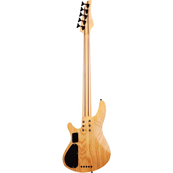 Schecter Guitar Research Reaper-5 5-String Electric Bass Guitar Satin Charcoal Burst