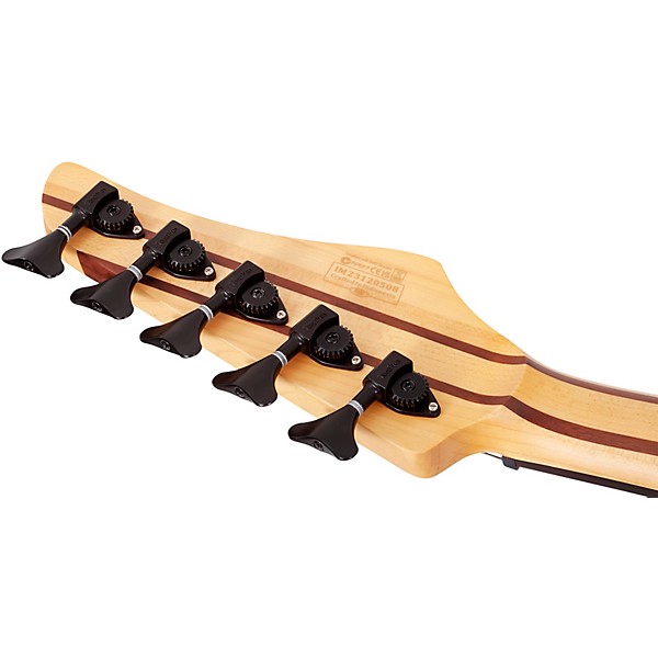 Schecter Guitar Research Reaper-5 5-String Electric Bass Guitar Satin Charcoal Burst
