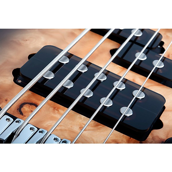 Schecter Guitar Research Reaper-5 5-String Electric Bass Guitar Satin Charcoal Burst
