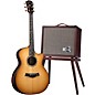 Taylor PS14c Brazilian Rosewood 50th Anniversary Limited-Edition Grand Auditorium Acoustic-Electric Guitar with matching Circa 74 Amp Honey Sunburst thumbnail