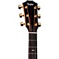 Taylor 214ce Plus 50th Anniversary Special-Edition Grand Auditorium Acoustic-Electric Guitar Natural