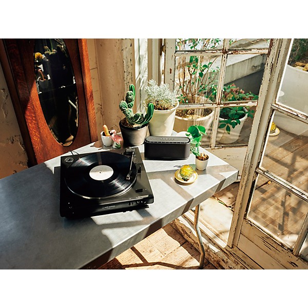 Audio-Technica ATN3600LC Conical Replacement Stylus White