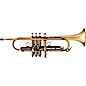 Antoine Courtois Paris T.O.M.A. Vintage Series Quarter Tone 4-Valve Bb Trumpet Vintage thumbnail