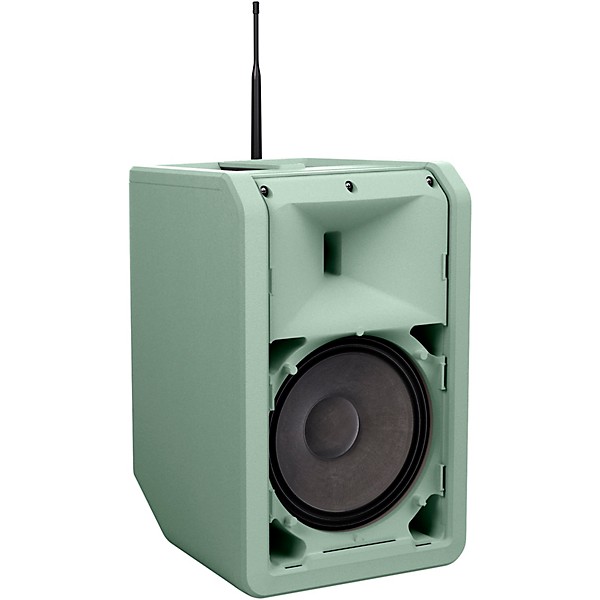 LD Systems ANNY 8 Portable 8" Battery-Powered Speaker With Wireless Handheld Mic, Adventure Green