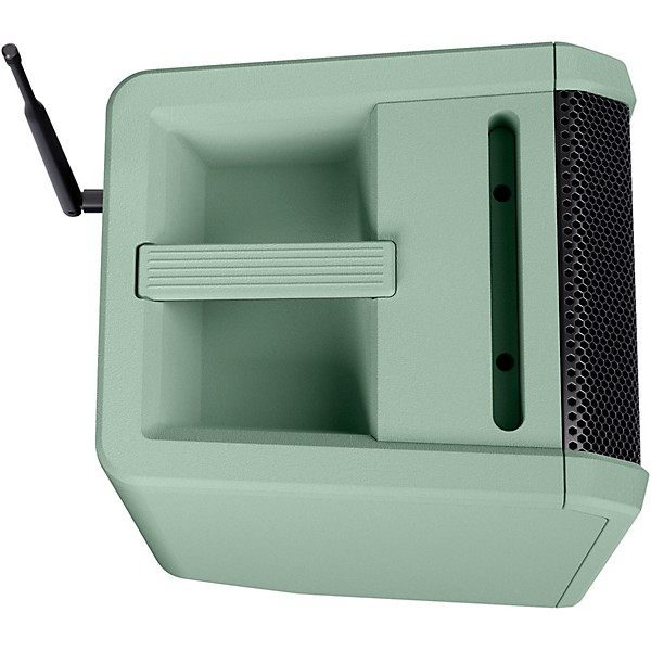 LD Systems ANNY 8 Portable 8" Battery-Powered Speaker With Wireless Handheld Mic, Adventure Green