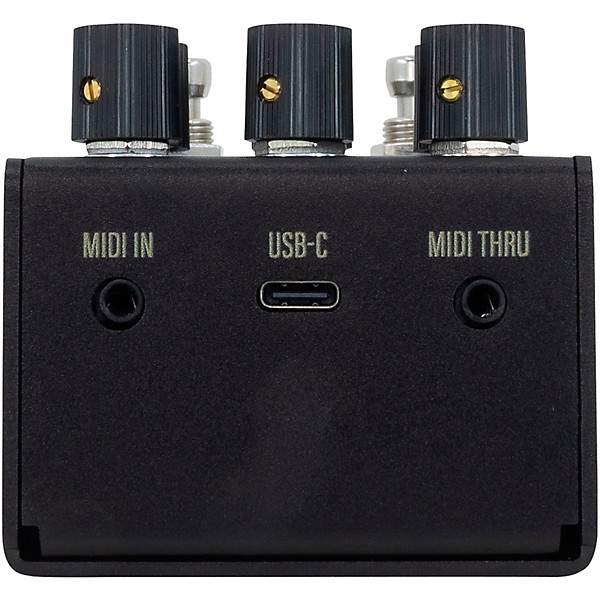 Walrus Audio Mako Series R1 High-Fidelity Reverb MKII Black