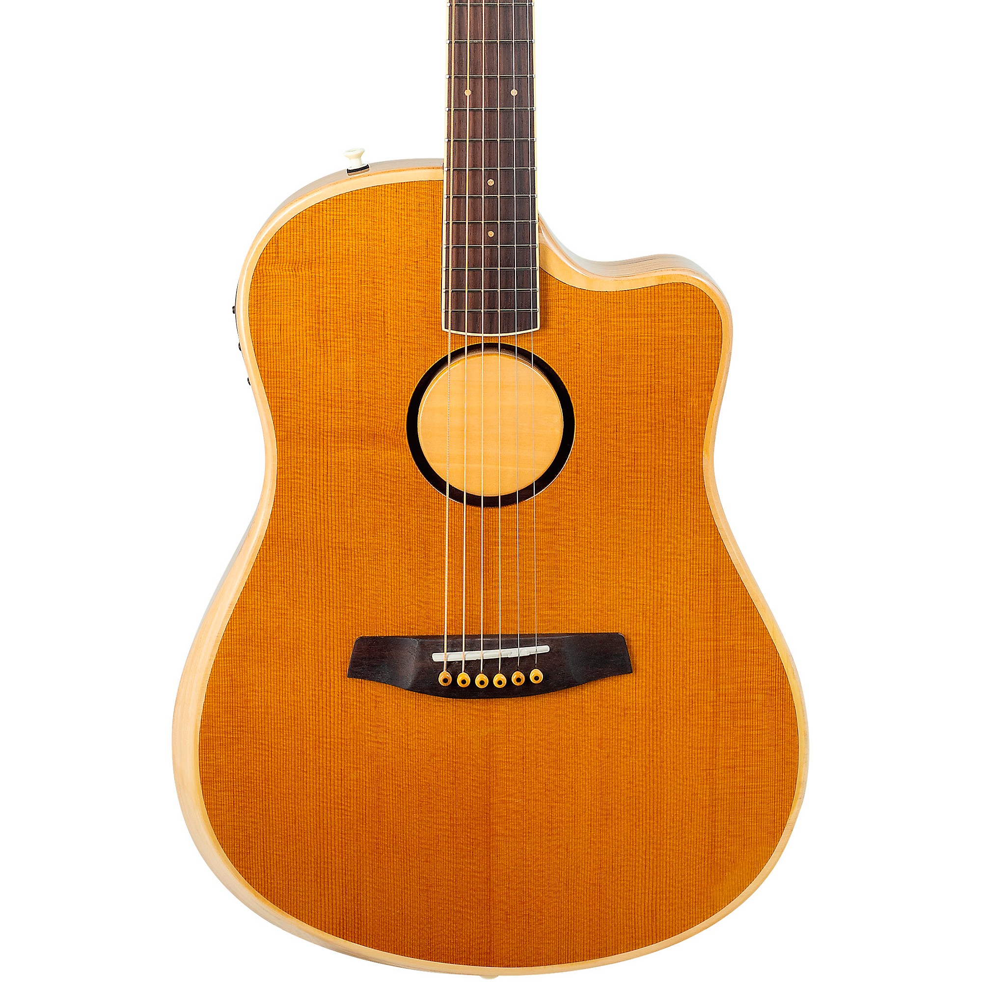 LR Baggs AEG-1 Torrefied Sitka Spruce Dreadnought Acoustic