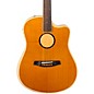 LR Baggs AEG-1 Torrefied Sitka Spruce Dreadnought Acoustic-Electric Guitar Natural thumbnail