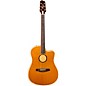 LR Baggs AEG-1 Torrefied Sitka Spruce Dreadnought Acoustic-Electric Guitar Natural