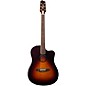 LR Baggs AEG-1 Sitka Spruce Dreadnought Acoustic-Electric Guitar Sunburst