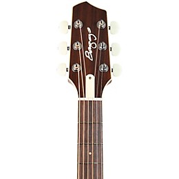 LR Baggs AEG-1 Sitka Spruce Dreadnought Acoustic-Electric Guitar Sunburst