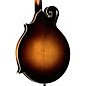 Kentucky KM-1000 Master F-Style Mandolin Vintage Sunburst