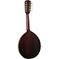Kentucky KM-120 Army-Navy Special-Edition Mandolin Brown